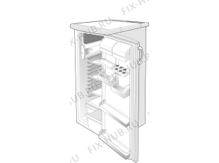 Холодильник Proline PF226A (247412, HTS2126) - Фото